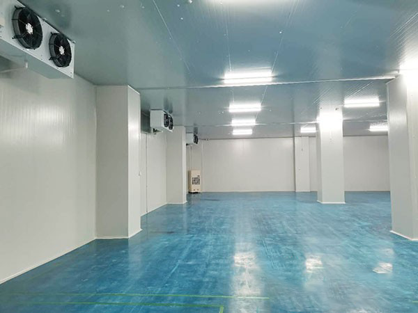 建個1000平方米的冷庫要多少錢?