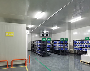 gsp醫(yī)藥冷庫(kù)2-8度冷鏈試劑庫(kù)房定制,面積要求建造多大面積