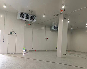 化工防爆冷庫完工圖