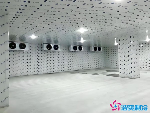 上海建造50噸冷藏庫造價(jià)多少錢