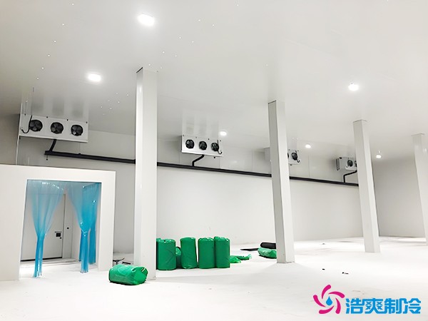建造萬噸級大型冷庫造價大概多少錢？萬噸冷庫造價影響因素