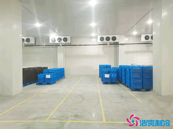 建造萬噸級大型冷庫造價大概多少錢？萬噸冷庫造價影響因素