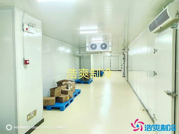 儲(chǔ)存疫苗的企業(yè)獨(dú)立冷庫有幾個(gè)？生物疫苗冷庫造價(jià)