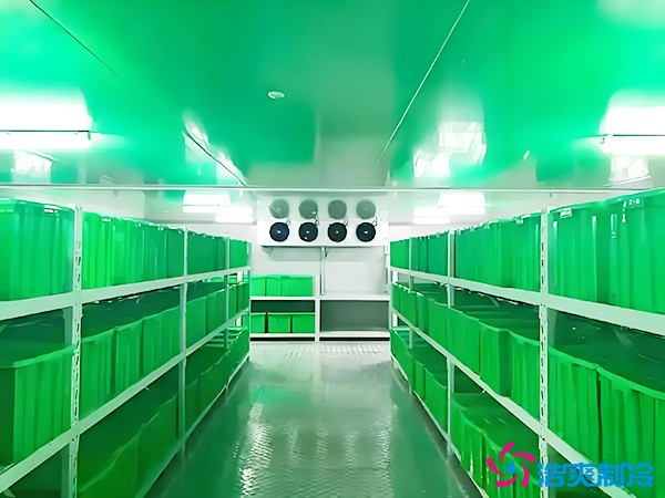 藥品批發(fā)企業(yè)冷藏庫(kù)平方面積要求多少？1000平藥企冷庫(kù)造價(jià)