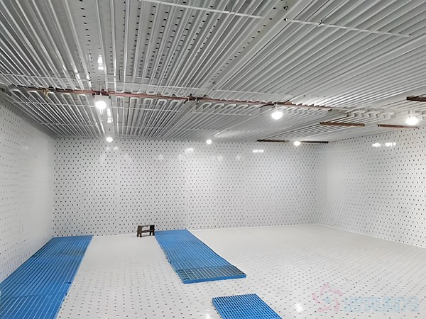 箭齒鰈魚片冷藏庫儲藏條件，箭齒鰈魚冷庫溫度要求