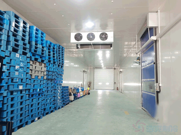 建1000平冷凍庫(kù)4米高溫度-24℃多少錢(qián)？