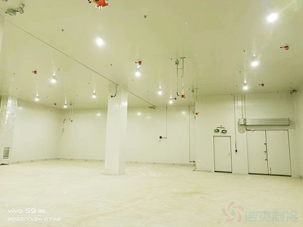 化工企業(yè)冷庫制冷系統(tǒng)設計依據(jù)什么規(guī)范？