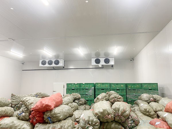 建一個十萬斤（50噸）的冷庫造價大概需要多少錢？