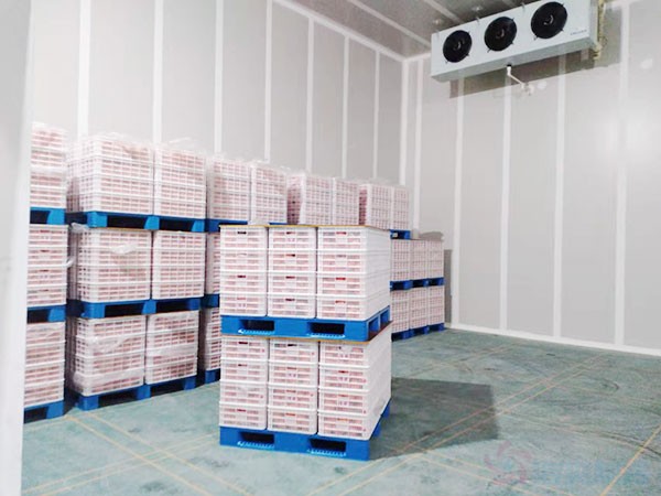 生果保鮮冷庫建造價(jià)格多少錢？生果保鮮冷庫造價(jià)表