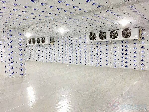 建一個冷凍庫造價需要多少錢一平方？
