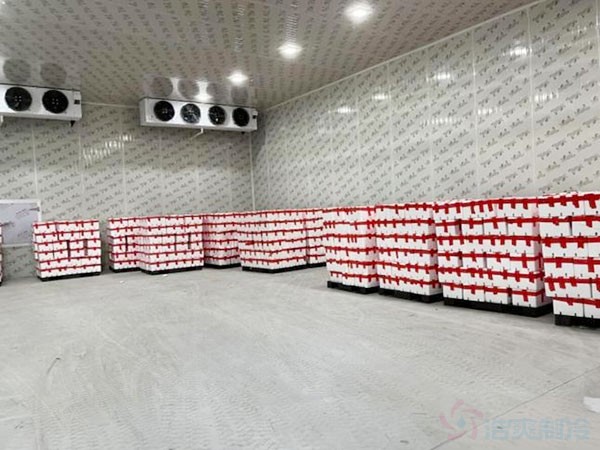 蘋果冷藏庫(kù)建設(shè)費(fèi)用一平方多少錢?