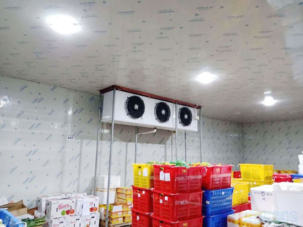 蘋果冷藏庫(kù)建設(shè)費(fèi)用一平方多少錢?