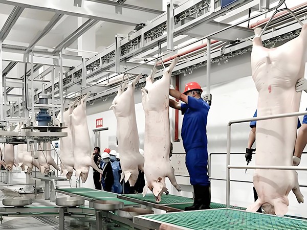 屠宰場(chǎng)冷庫(kù)一般都在車間內(nèi)嗎？速凍間是冷庫(kù)嗎？