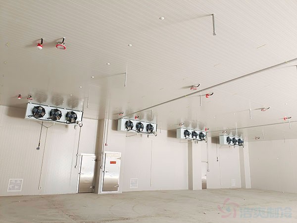 建造一個(gè)?；贩辣ǖ蜏貍}庫）冷庫造價(jià)多少錢