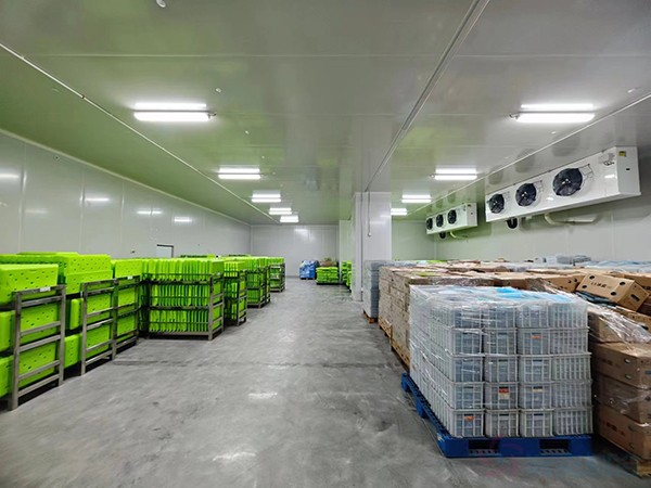 大型工業(yè)藥品冷庫(kù)建設(shè)安裝價(jià)格大概多少錢(qián)？