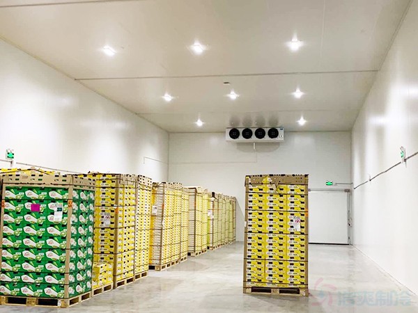 安裝200平米的保鮮庫造價(jià)