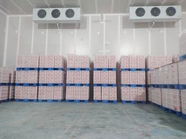 50平米冷庫(kù)安裝價(jià)格