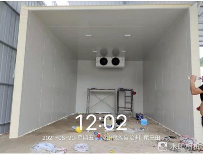 四川桑枝食用菌現(xiàn)代農業(yè)園區(qū)氣調保鮮冷庫工程建造案例
