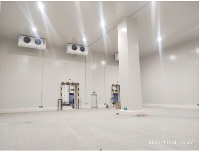 江蘇太倉遠洋物流二氧化碳復疊系統(tǒng)冷庫建造工程案例