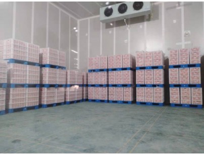 湖州練美農(nóng)業(yè)果蔬產(chǎn)地型氣調(diào)冷庫建造工程案例