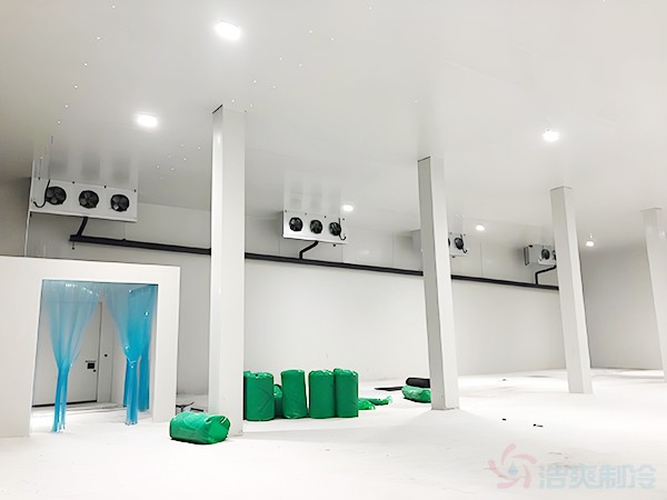 蔬菜保鮮冷庫建造成本