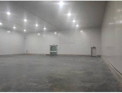 新疆伊寧78525m3保稅區(qū)冷鏈物流園大型冷庫(kù)建造工程